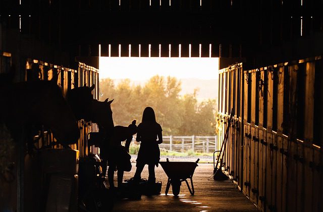 Image of Horse Stables with individuals caring for the horses - Patricia Scott Insurance