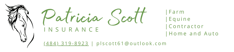 Patricia Scott Insurance